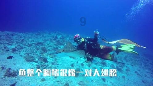 风语世界2：沉寂