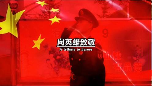 萌犬记忆卡